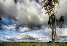 桑德兰与伯恩茅斯对阵，实力对比备受关注