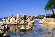 大连一方和上海申花迎来关键交锋